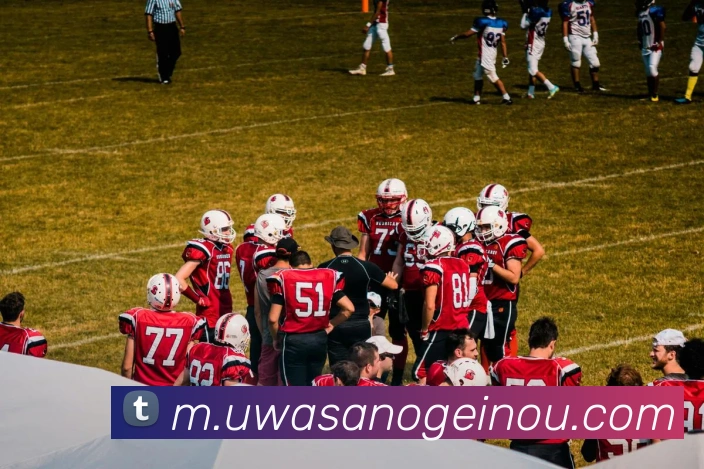 奖项证书